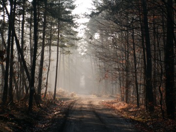 Droga w jesiennym słońcu