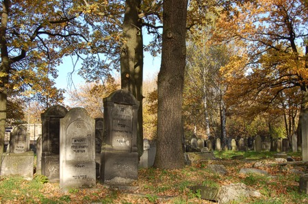 Cmentarz żydowski - ul. Podwale